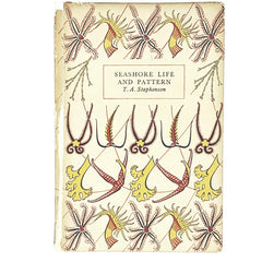 First Edition Seashore Life and Pattern by T.A. Stephenson 1944