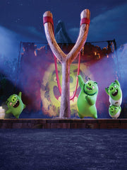 Cartoon Angry Birds Children Photography Backdrop CM-S-1704-E