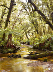 Solitude - Photographic Print