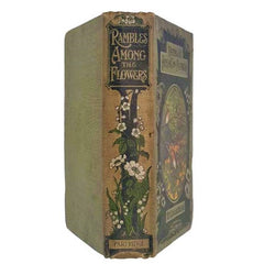 Rambles Among The Flowers by T. Carreras