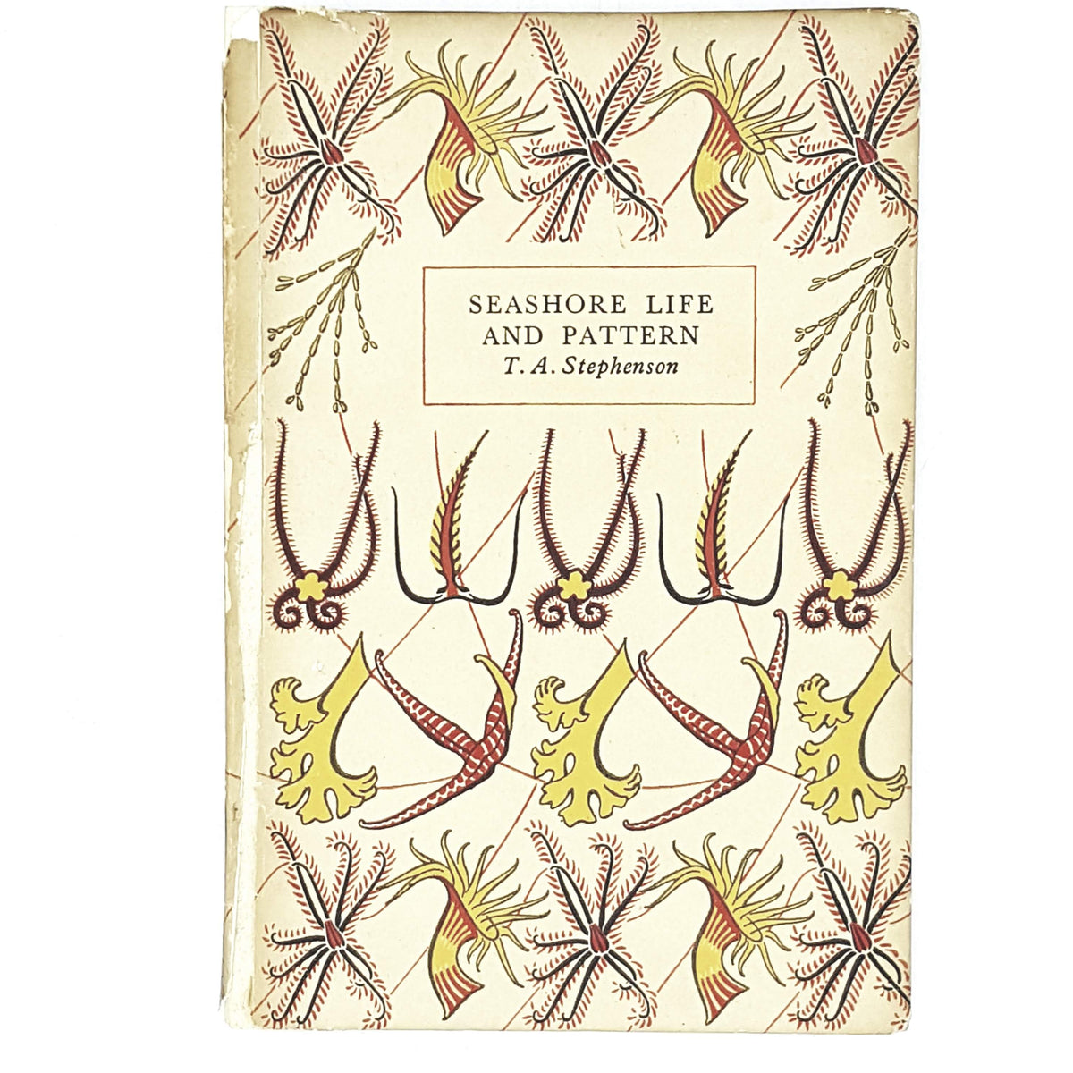 First Edition Seashore Life and Pattern by T.A. Stephenson 1944