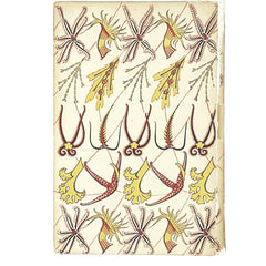 First Edition Seashore Life and Pattern by T.A. Stephenson 1944