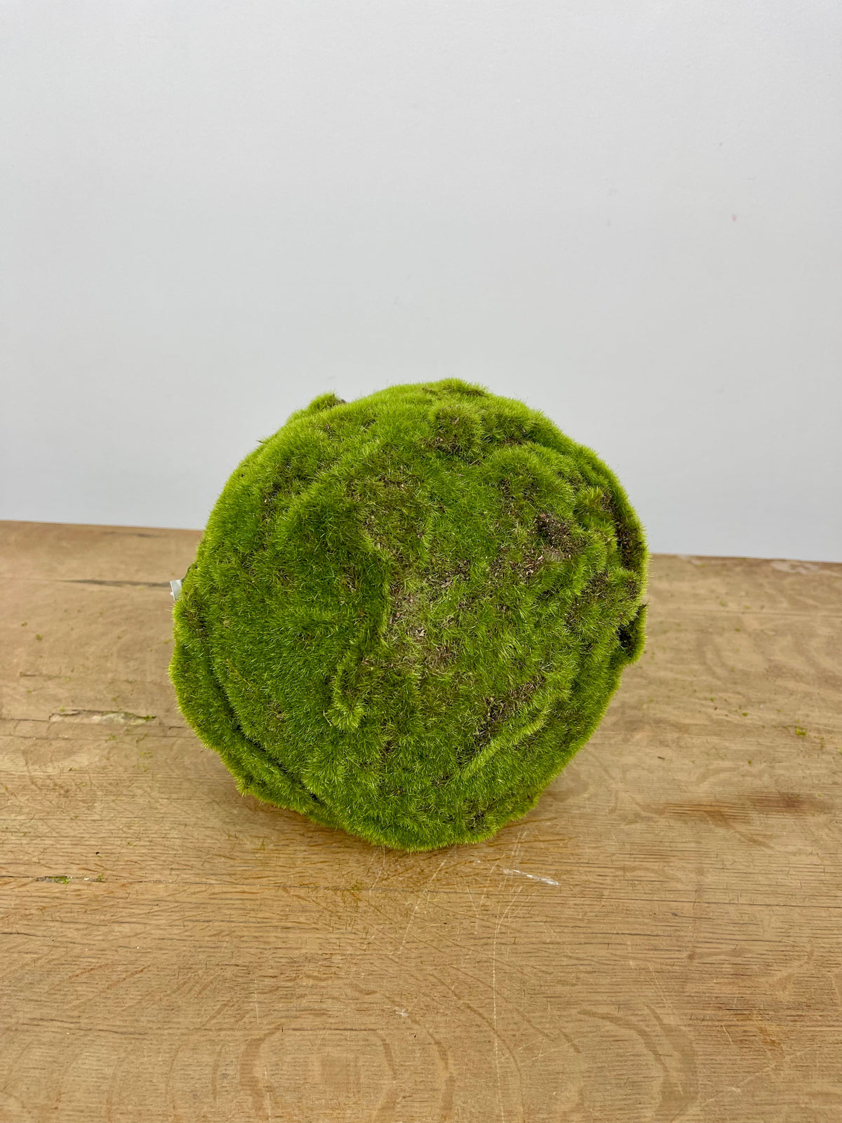 9" Moss Orb