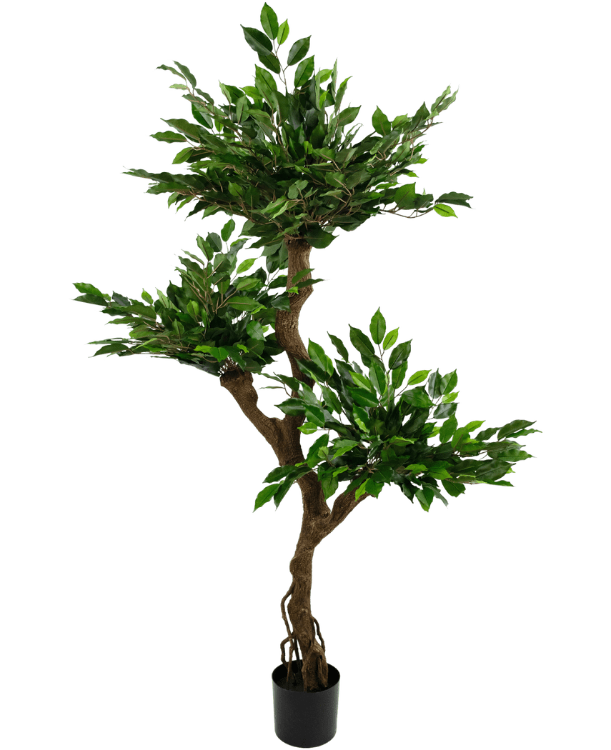 Piante Finte Ficus Crazy 150 cm