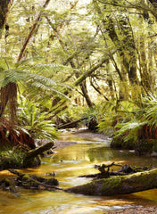 Solitude - Photographic Print