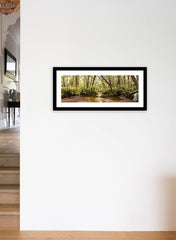 Solitude - Photographic Print